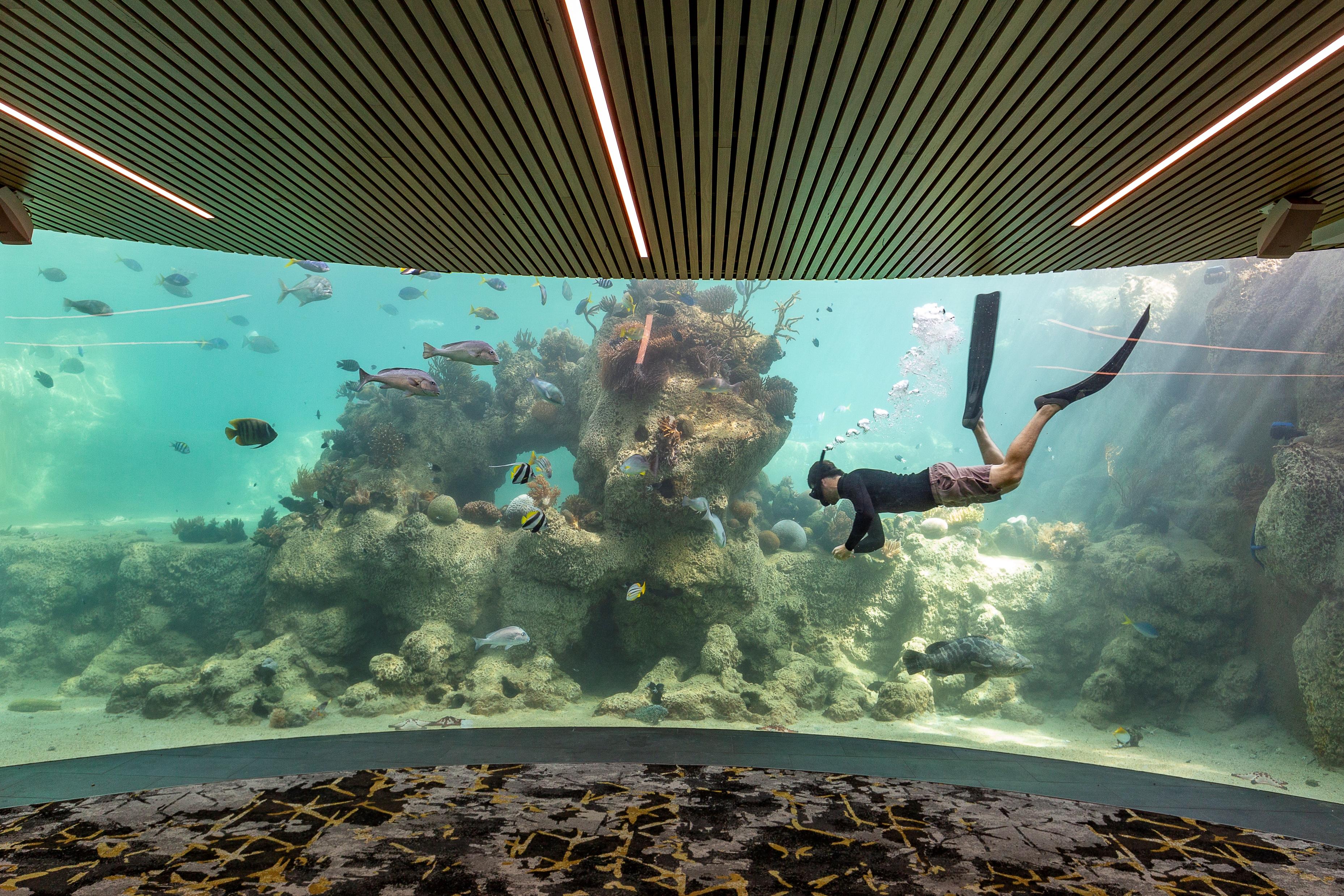 Daydream Island Resort Экстерьер фото